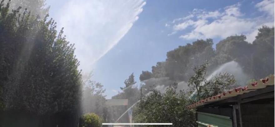 Ποιό είναι το κατάλληλο ξενοδοχείο για τον σκύλο μου;