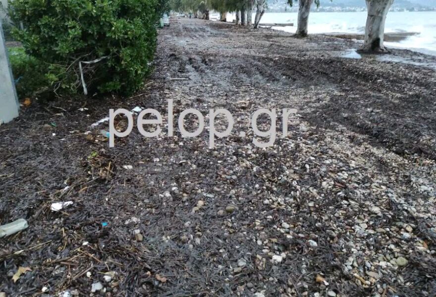 Καιρός: Σοβαρές καταστροφές από την κακοκαιρία σε Πάτρα και Ηλεία 