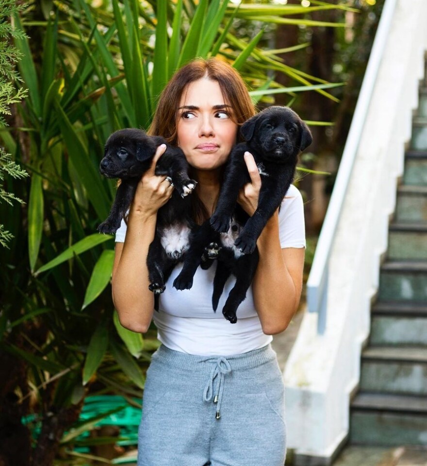 Βάσω Λασκαράκη: Θύελλα αντιδράσεων για τη φωτογραφία της με τα νεογέννητα κουτάβια