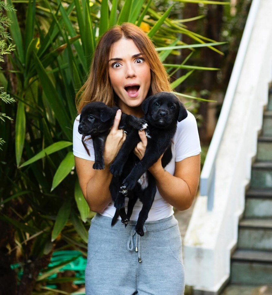 Βάσω Λασκαράκη: Θύελλα αντιδράσεων για τη φωτογραφία της με τα νεογέννητα κουτάβια