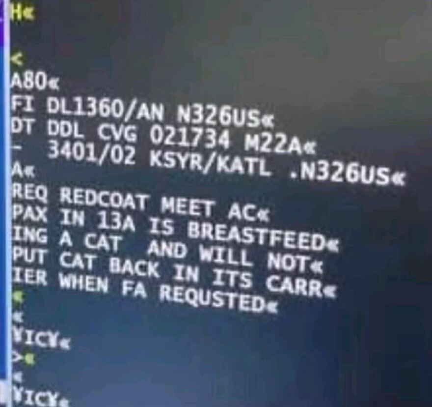 Επιβάτιδα της Delta θήλαζε τη γάτα της εν πτήσει!