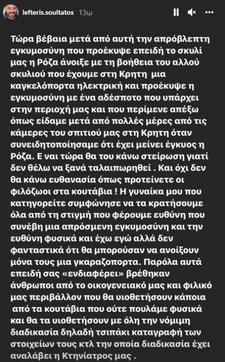 Βάσω Λασκαράκη: Θύελλα αντιδράσεων για τη φωτογραφία της με τα νεογέννητα κουτάβια