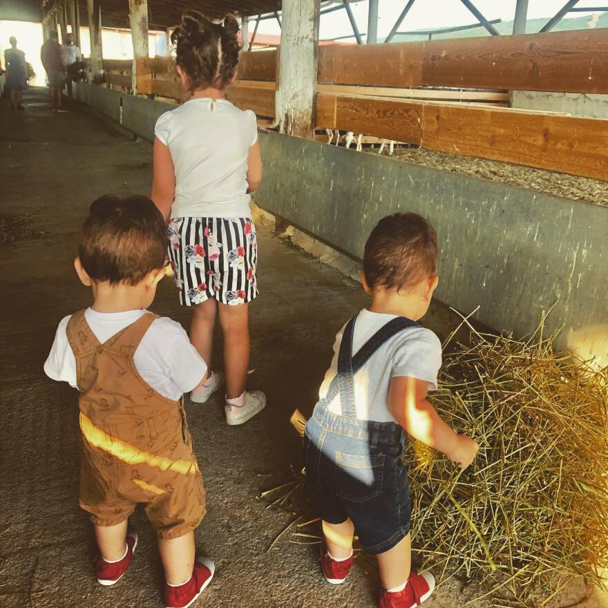 Φάρμα Μουσθένης: Από τη γοητεία της Αρχαίας Καβάλας, στο σήμερα