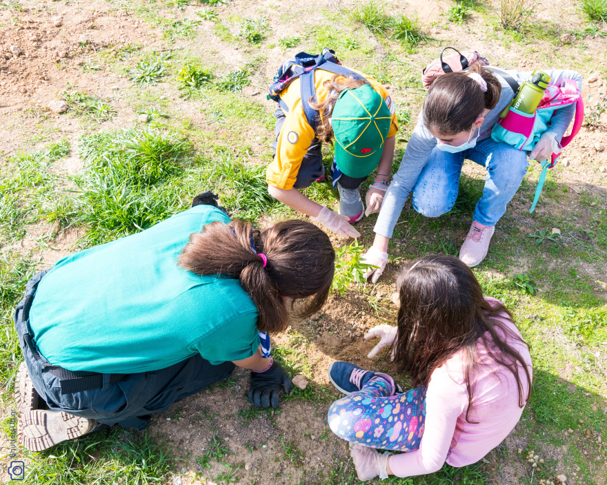 Βίκος A.E.: Εκατοντάδες εθελοντές φύτεψαν 1.300 δέντρα στο Ολυμπιακό Κέντρο Γαλατσίου