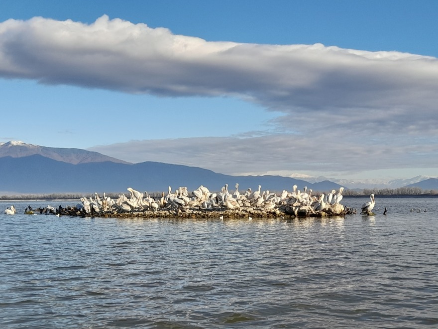 Forbes: H Κερκίνη στα πέντε πιο εντυπωσιακά θαύματα της φύσης στα Βαλκάνια