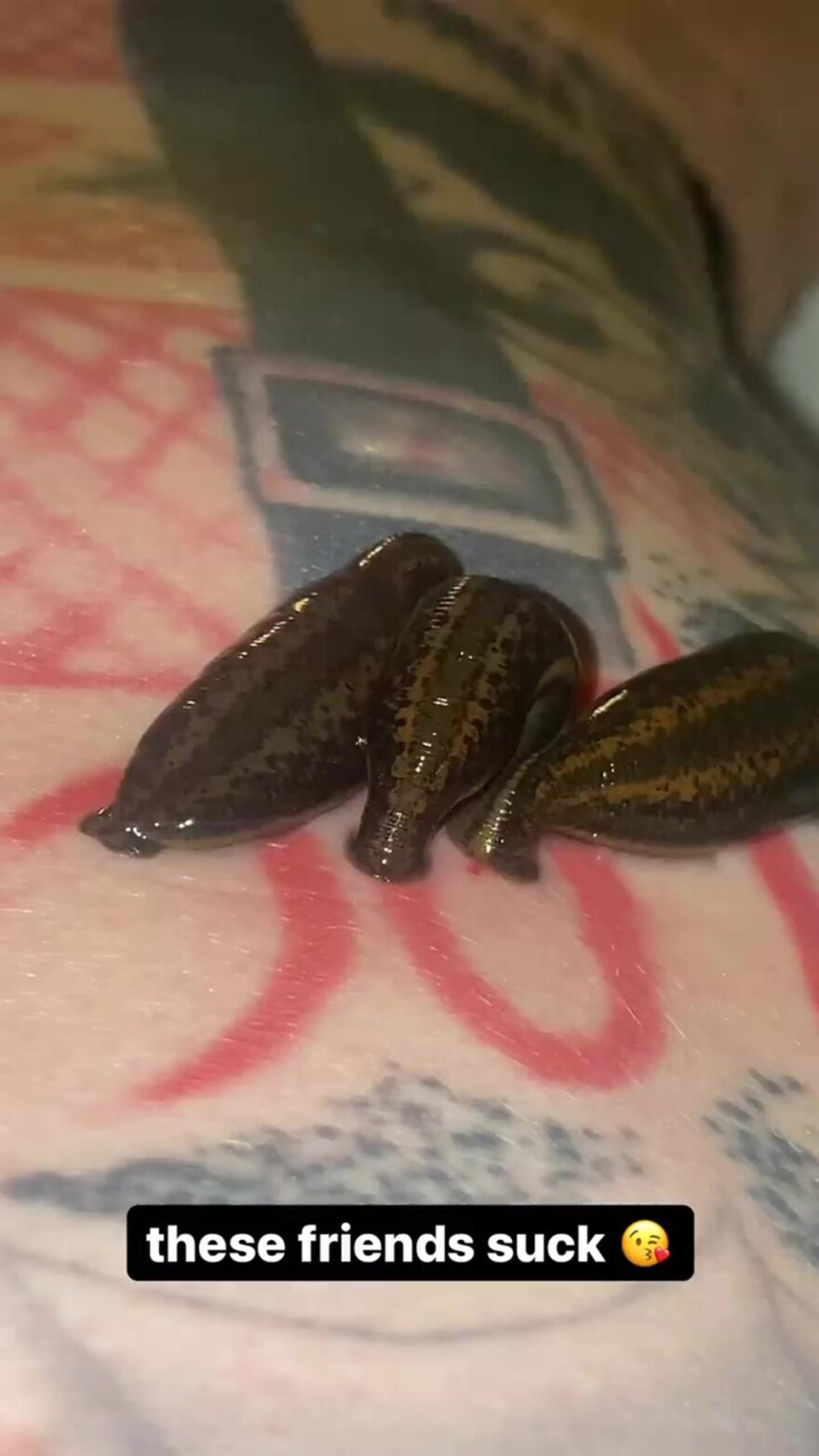 Mε τρεις... βδέλλες πάνω στο γυμνό του στήθος εμφανίστηκε στο Instagram ο Μασίν Γκαν Κέλι 