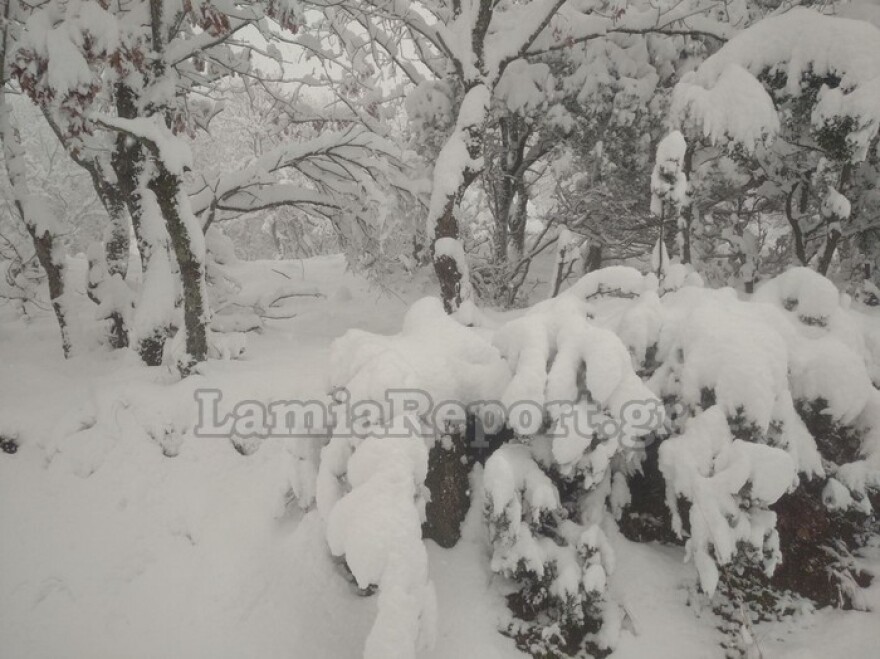 Καιρός: Συνεχίζεται την Κυριακή η επέλαση της «Κάρμελ» - Πού θα σημειωθούν βροχές, χιόνια και παγετός
