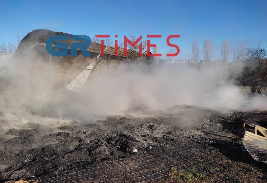 Καστοριά: Φωτιά σε κτηνοτροφική μονάδα έκαψε ζωντανά 250 αιγοπρόβατα