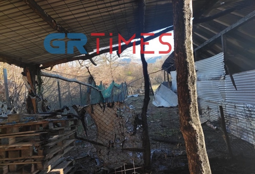 Καστοριά: Φωτιά σε κτηνοτροφική μονάδα έκαψε ζωντανά 250 αιγοπρόβατα