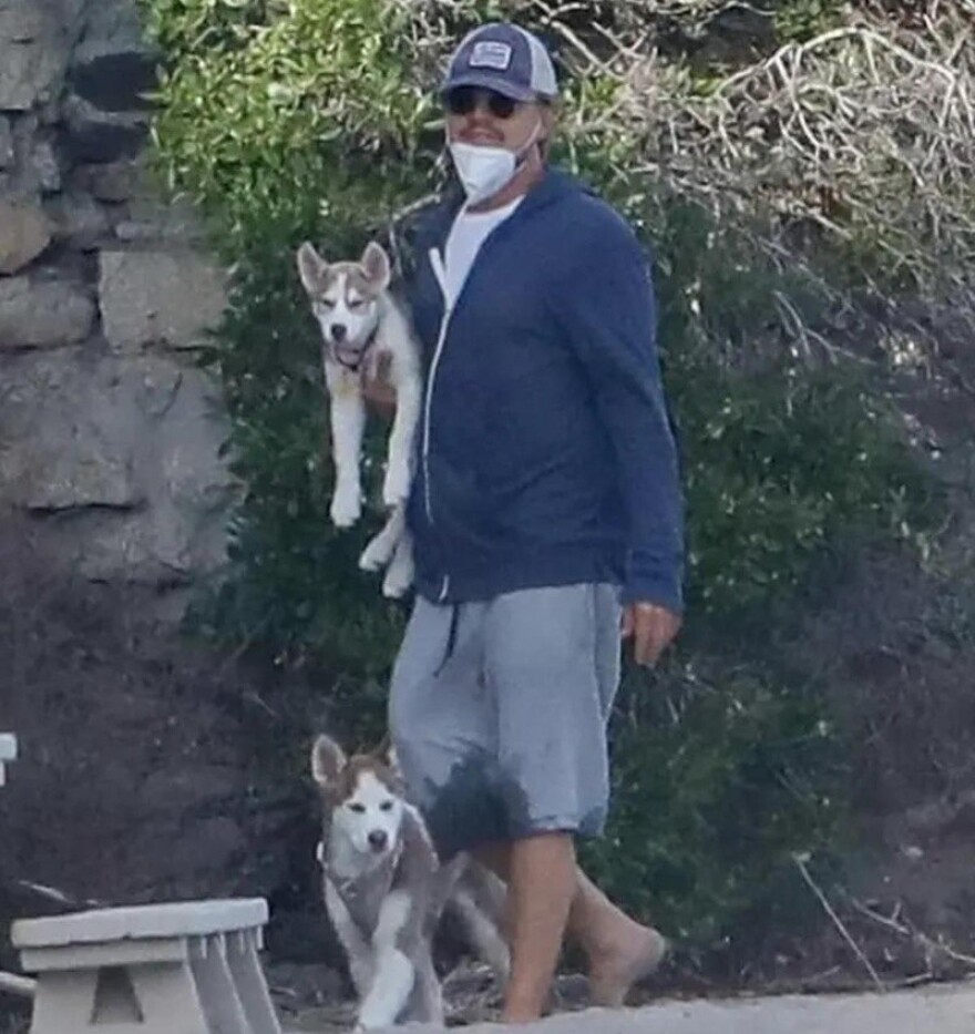 Λεονάρντο Ντι Κάπριο: Βούτηξε σε παγωμένη λίμνη για να σώσει τα σκυλιά του