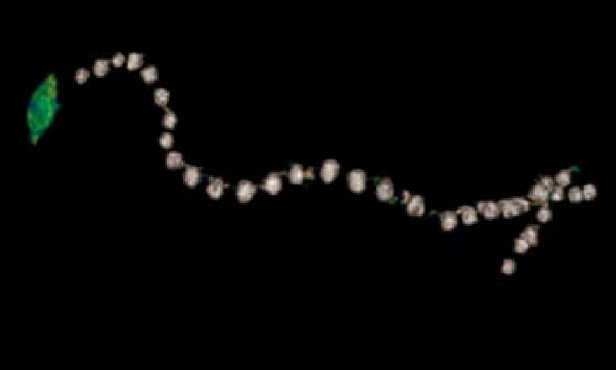 Τι αποκάλυψε το ψηφιακό «ξετύλιγμα» της μούμιας του Φαραώ Αμένοφι Α'