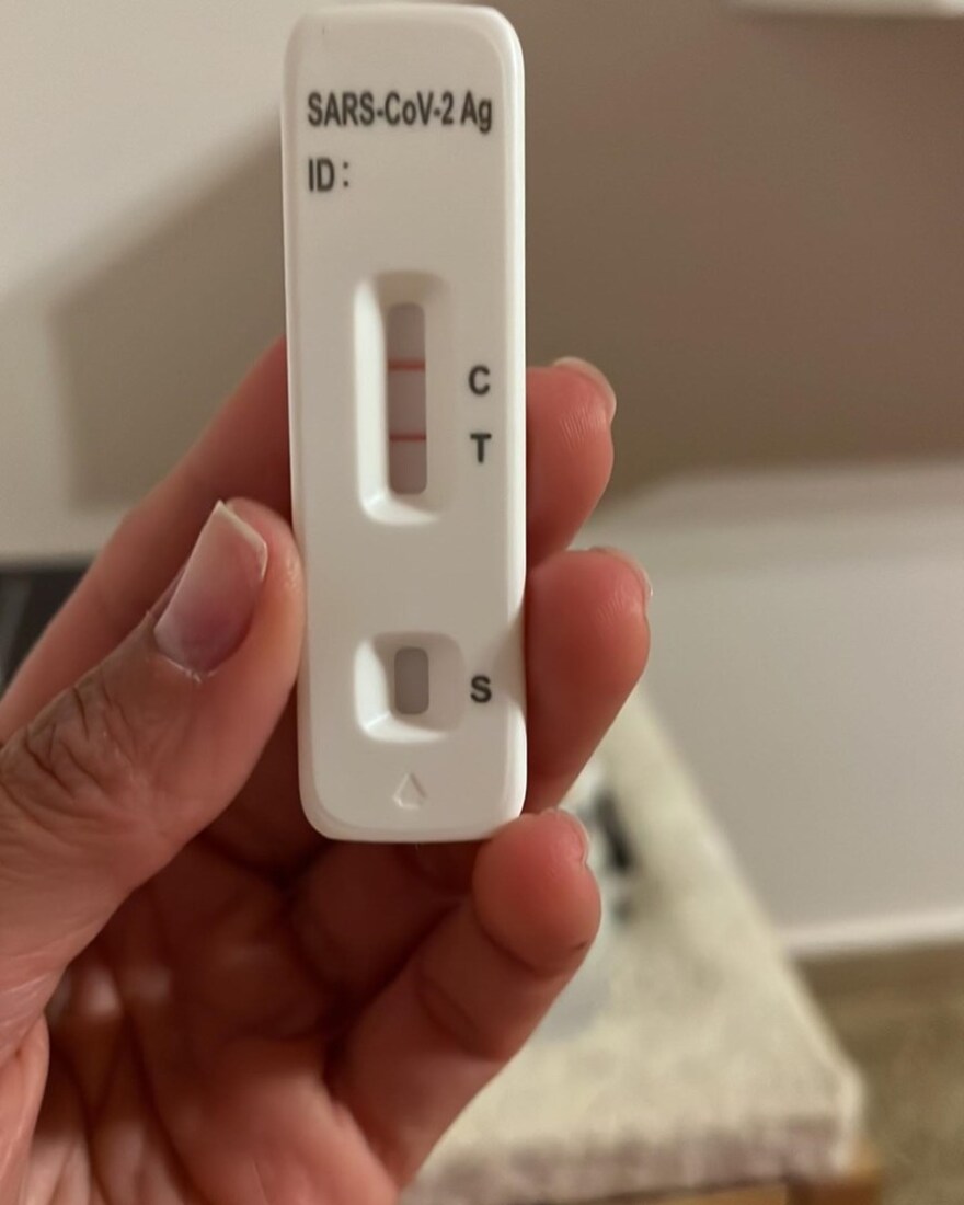 Η Ανθή Βούλγαρη περιγράφει πώς βιώνει τον κορωνοϊό