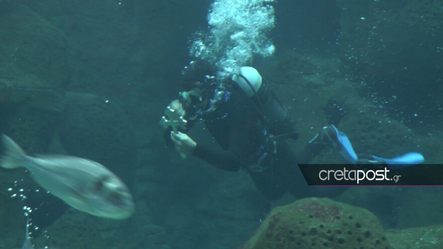 Εντυπωσιακές εικόνες από τον Αγιασμό των υδάτων στο Ενυδρείο Κρήτης