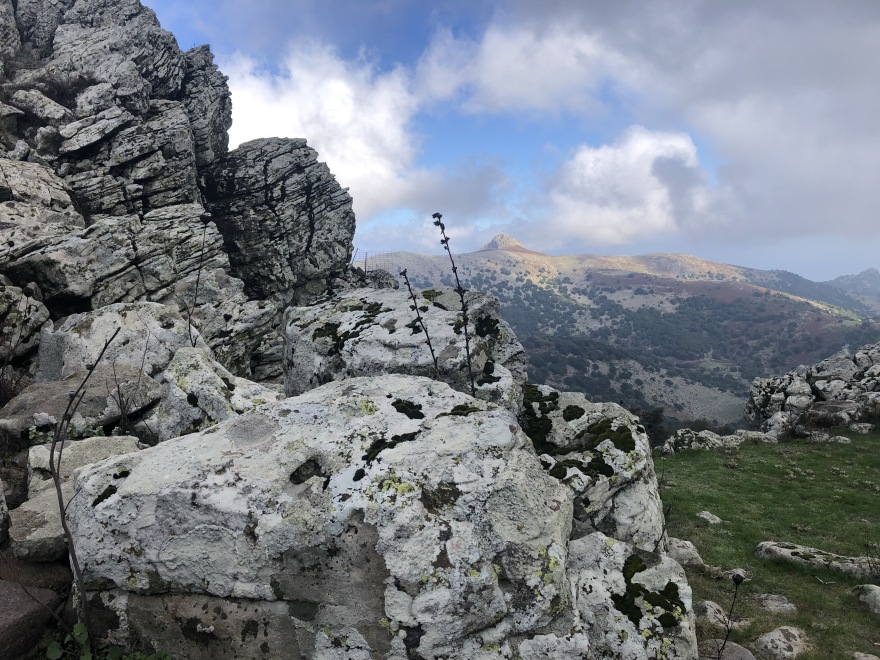 Λέσβος: Ηφαιστειακές εκρήξεις πριν από εκατομμύρια χρόνια «έχτισαν» την άγρια ομορφιά του τοπίου