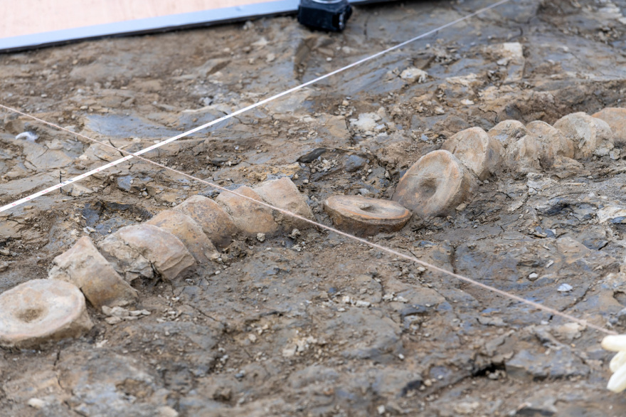 Βρετανία: Ανακάλυψαν το μεγαλύτερο απολίθωμα «θαλάσσιου δράκου»!