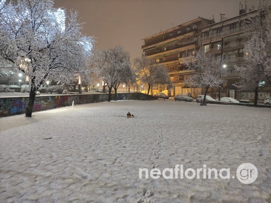 Δύσκολες ώρες για τους κατοίκους της Φλώρινας: Ισχυροί μετασεισμοί, 30 πόντοι χιόνι και πολλά κρούσματα