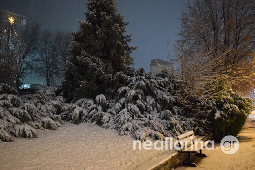 Κλειστά τα σχολεία και σήμερα στη Φλώρινα: Μετά τον Εγκέλαδο ήρθε και ο «Διομήδης» - Δείτε βίντεο