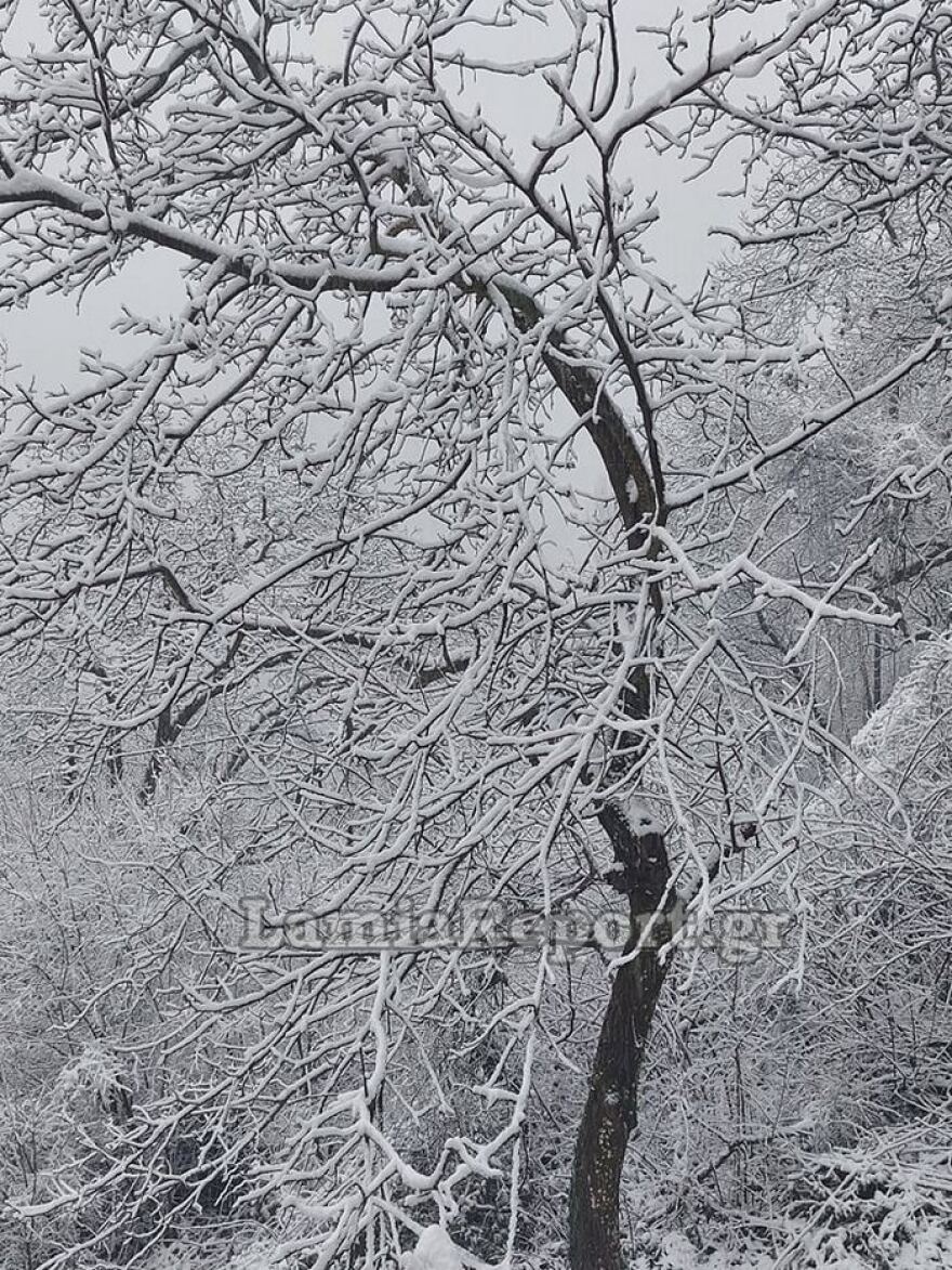 Κακοκαιρία «Διομήδης»: Ισχυρές βροχές και χιόνια σε όλη τη χώρα - Πού εντοπίζονται προβλήματα