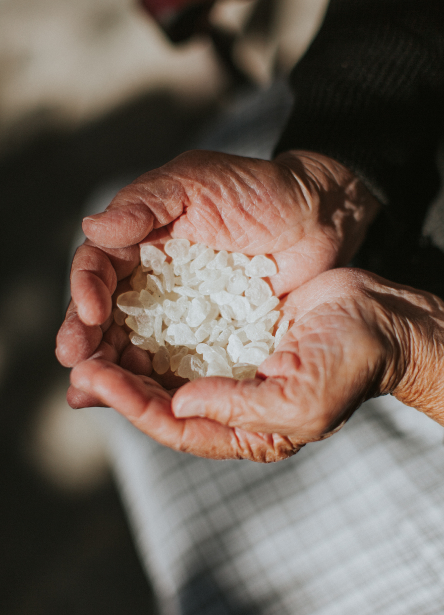 Οικογένεια Σόδη: Ιστορία 150 χρόνων με συνταγές από μαστίχα Χίου