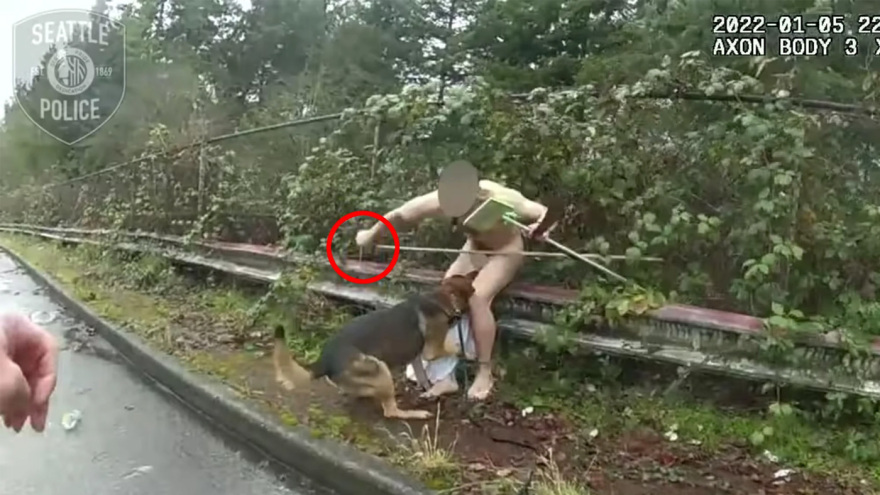 Σιατλ: Γυμνός άνδρας σκότωσε αστυνομικό σκύλο με ματσέτα και έπεσε νεκρός από αστυνομικά πυρά