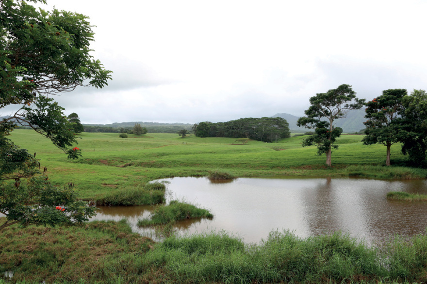 Μαρκ Ζούκερμπεργκ: Πού ξοδεύει τα δισεκατομμύριά του ο Mr. Facebook;
