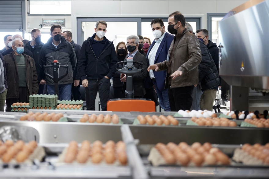Μητσοτάκης: Επισκέφτηκε πτηνοτροφική μονάδα στα Μέγαρα