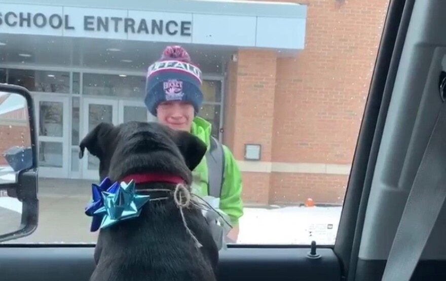 Βίντεο: Η συγκινητική στιγμή που αγοράκι συναντά ξανά τον χαμένο του σκύλο και ξεσπάει σε λυγμούς