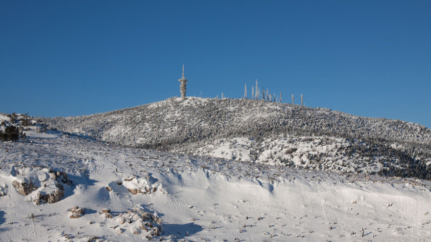 Γιατί οι λύκοι επέστρεψαν στην Πάρνηθα - Οι πυρκαγιές, η ανάκαμψη του οικοσυστήματος και η εισβολή... των ανθρώπων