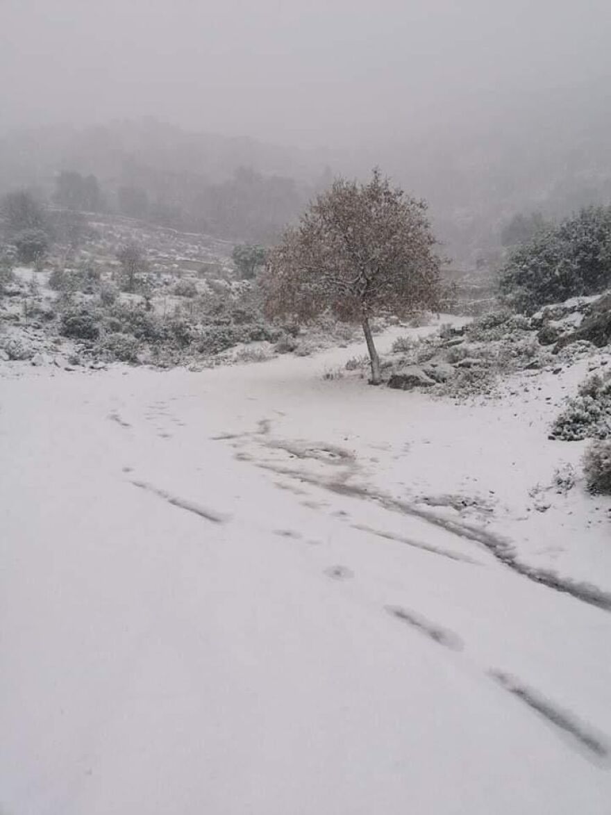 Καιρός: Στα «λευκά» η Εύβοια και νησιά των Κυκλάδων, χιόνισε και στα βόρεια προάστια της Αθήνας - Πώς θα εξελιχθεί η «Ελπίς»