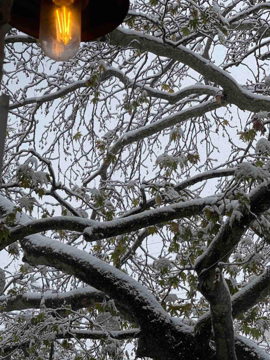 Καιρός: Στα «λευκά» η Εύβοια και νησιά των Κυκλάδων, χιόνισε και στα βόρεια προάστια της Αθήνας - Πώς θα εξελιχθεί η «Ελπίς»