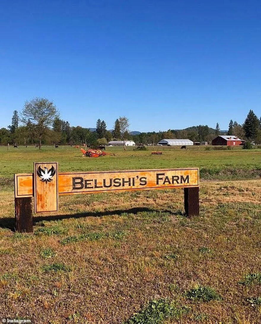 Τζιμ Μπελούσι: Από τα πλατό του Χόλιγουντ, στην «κοιλάδα της κάνναβης»
