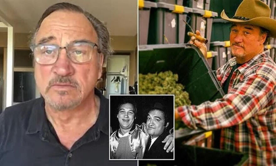 Τζιμ Μπελούσι: Από τα πλατό του Χόλιγουντ, στην «κοιλάδα της κάνναβης»