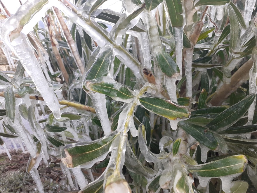 Στην «κατάψυξη» Ιωάννινα και Άρτα με θερμοκρασίες έως και -11 βαθμούς Κελσίου