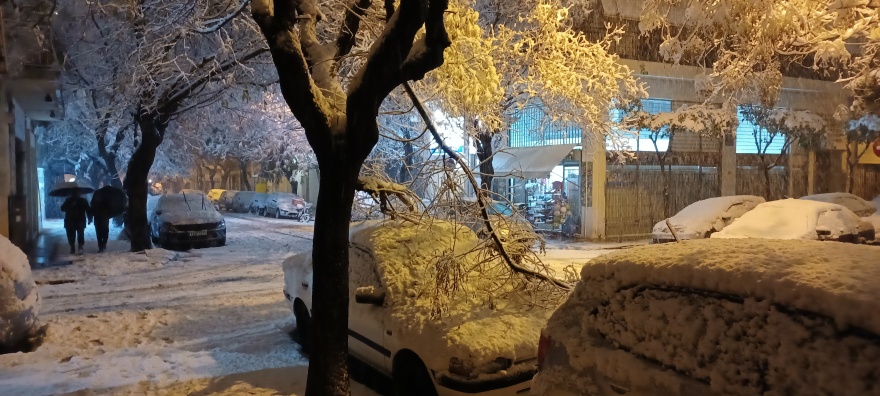 Κυκλοφοριακό χάος στο κέντρο της Αθήνας, έπεσαν δέντρα και έκλεισαν δρόμοι - Βίντεο και φωτογραφίες