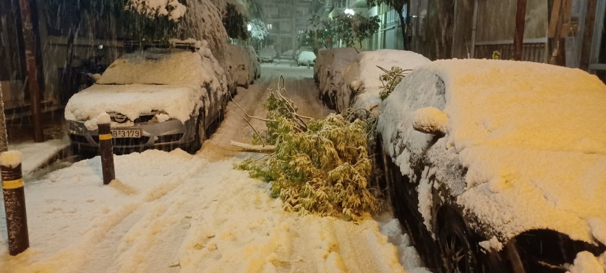 Κυκλοφοριακό χάος στο κέντρο της Αθήνας, έπεσαν δέντρα και έκλεισαν δρόμοι - Βίντεο και φωτογραφίες
