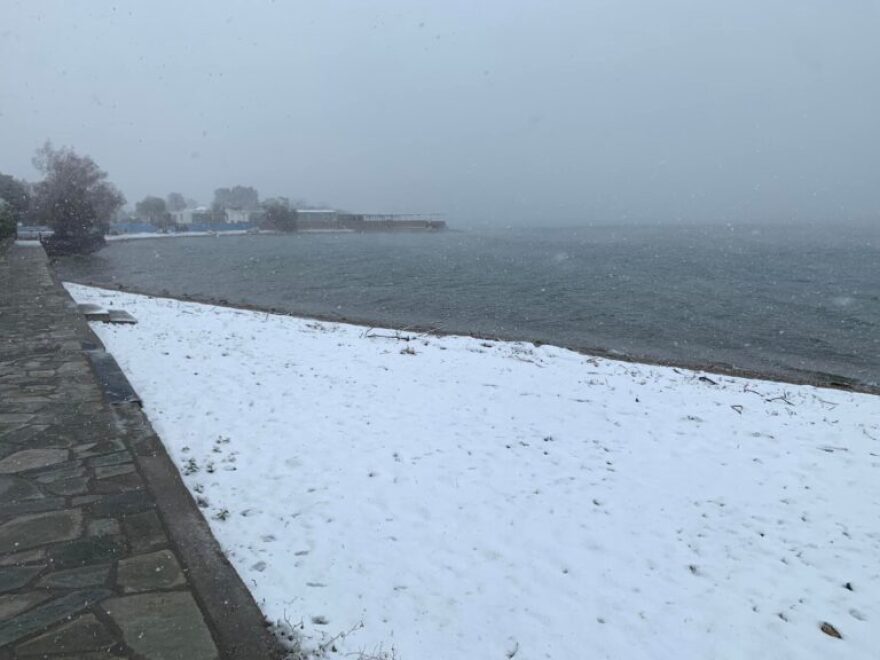 Βόλος: Έφτασε μέχρι τη θάλασσα το χιόνι - Εντυπωσιακές φωτογραφίες