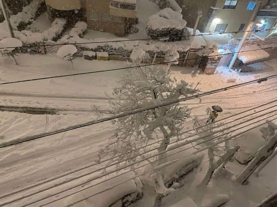 Κακοκαιρία Ελπίς: Έπεσε δέντρο στη διασταύρωση Κηφισίας με Κατεχάκη - Σώθηκε από θαύμα διερχόμενος πολίτης