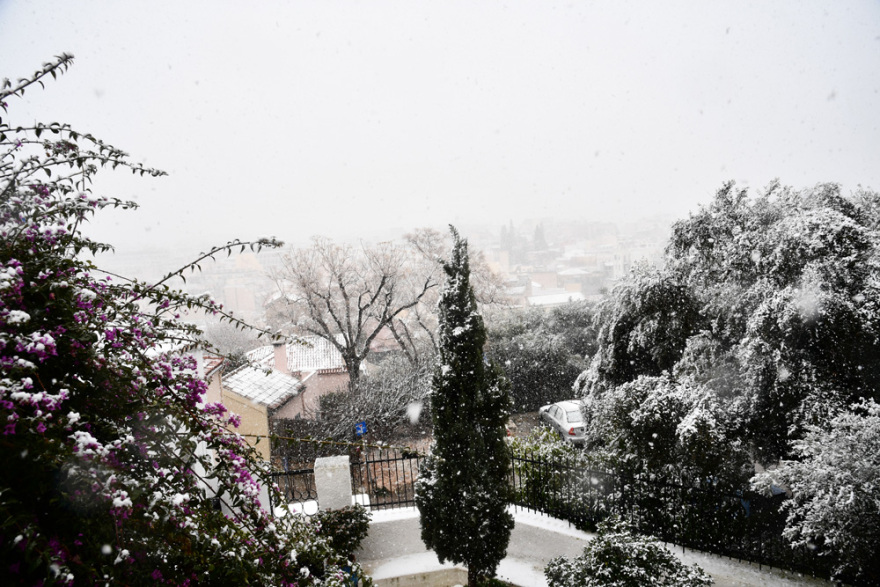 Κακοκαιρία «Ελπίς»: Χιόνια στο Σύνταγμα - Μαγικές εικόνες από το κέντρο της Αθήνας