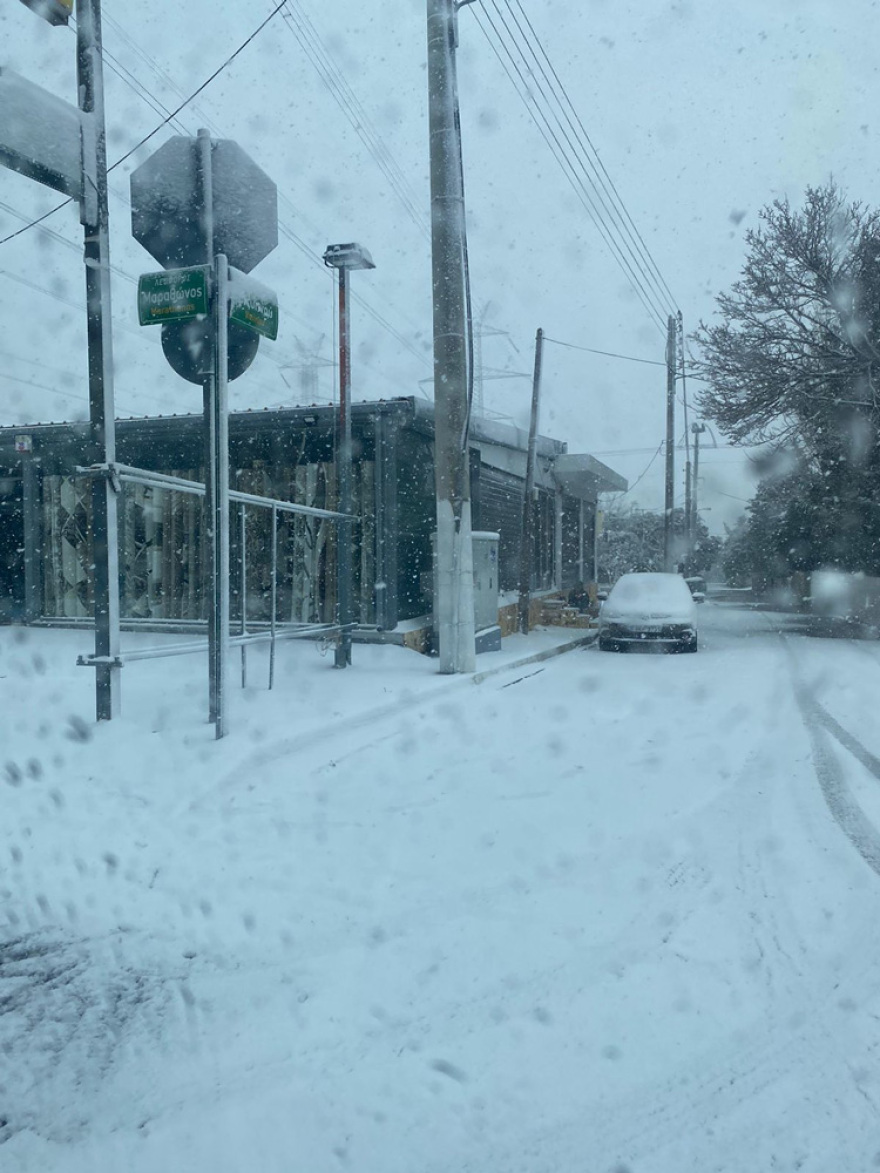 Κακοκαιρία «Ελπίς»: Χιόνια στο Σύνταγμα - Μαγικές εικόνες από το κέντρο της Αθήνας