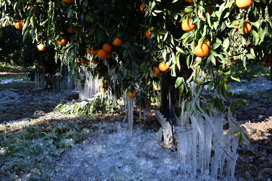 Κακοκαιρία «Ελπίς»: «Γλυπτά» από πάγο στη λίμνη των Ιωαννίνων και στον κάμπο της Αργολίδας - Δείτε φωτογραφίες
