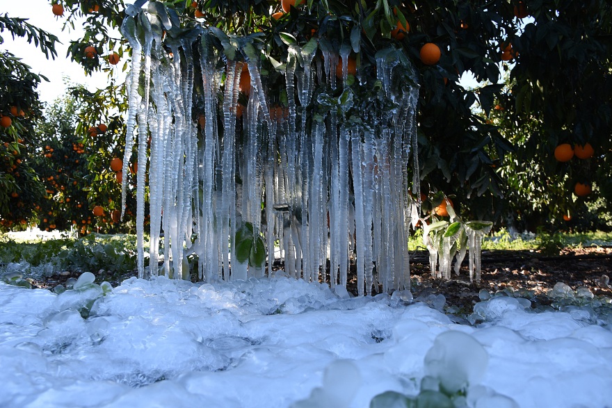 Κακοκαιρία «Ελπίς»: «Γλυπτά» από πάγο στη λίμνη των Ιωαννίνων και στον κάμπο της Αργολίδας - Δείτε φωτογραφίες