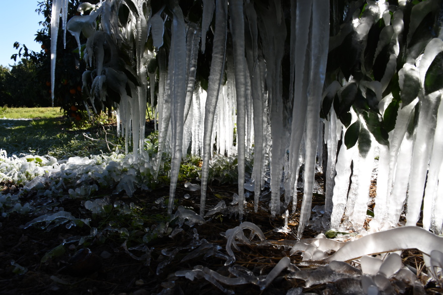 Κακοκαιρία «Ελπίς»: «Γλυπτά» από πάγο στη λίμνη των Ιωαννίνων και στον κάμπο της Αργολίδας - Δείτε φωτογραφίες