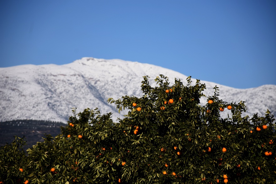 Κακοκαιρία «Ελπίς»: «Γλυπτά» από πάγο στη λίμνη των Ιωαννίνων και στον κάμπο της Αργολίδας - Δείτε φωτογραφίες