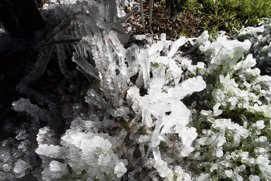 Κακοκαιρία «Ελπίς»: «Γλυπτά» από πάγο στη λίμνη των Ιωαννίνων και στον κάμπο της Αργολίδας - Δείτε φωτογραφίες