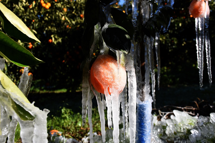 Κακοκαιρία «Ελπίς»: «Γλυπτά» από πάγο στη λίμνη των Ιωαννίνων και στον κάμπο της Αργολίδας - Δείτε φωτογραφίες