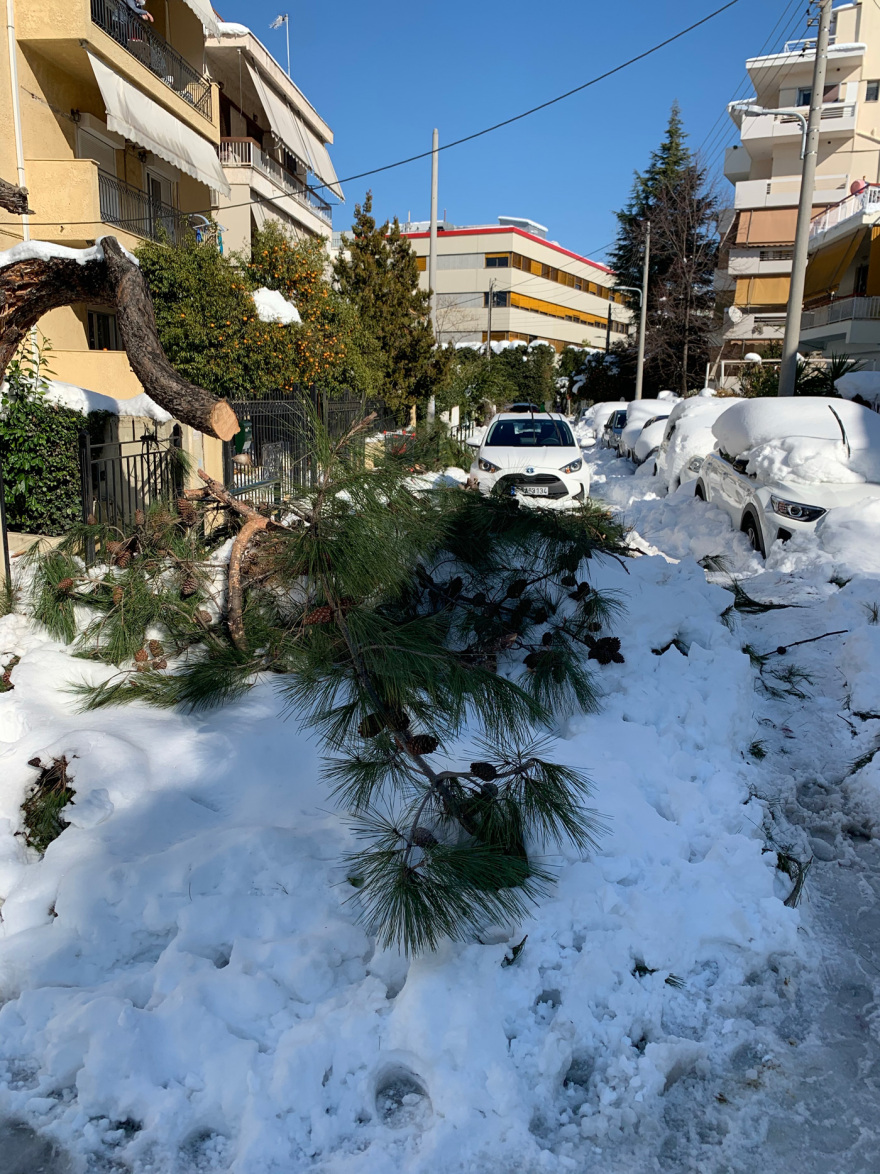 Κακοκαιρία «Ελπίς»: Χάος σε πολλούς δήμους της Αττικής -Δρόμοι παγοδρόμια, στα «κάγκελα» οι πολίτες