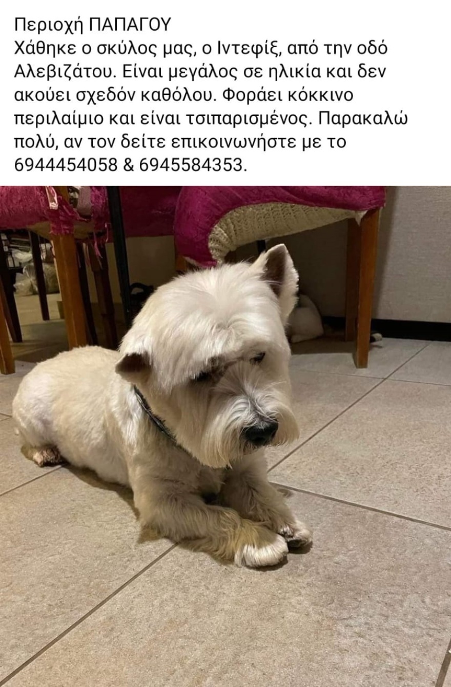 Χάθηκε ο Ιντεφίξ στην περιοχή Παπάγου