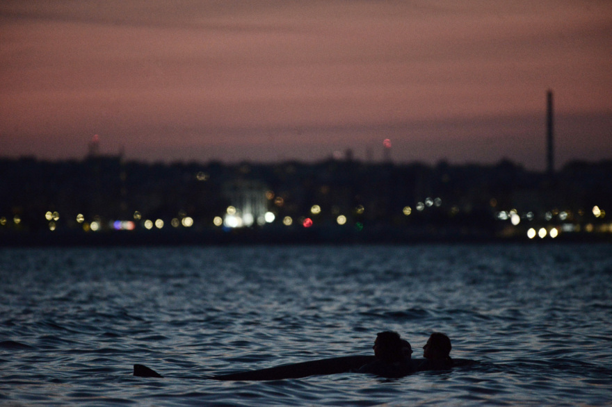 Ολονύχτια προσπάθεια σωτηρίας της μικρής φάλαινας στον Άλιμο, αγωνία για την κατάστασή της