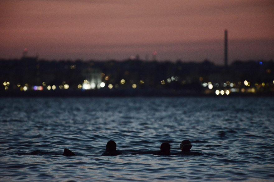 Ολονύχτια προσπάθεια σωτηρίας της μικρής φάλαινας στον Άλιμο, αγωνία για την κατάστασή της