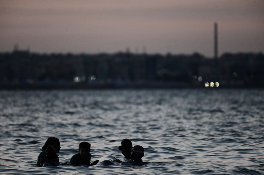 Ολονύχτια προσπάθεια σωτηρίας της μικρής φάλαινας στον Άλιμο, αγωνία για την κατάστασή της